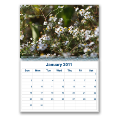 Wall Calendars
