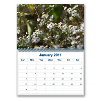 Wall Calendars